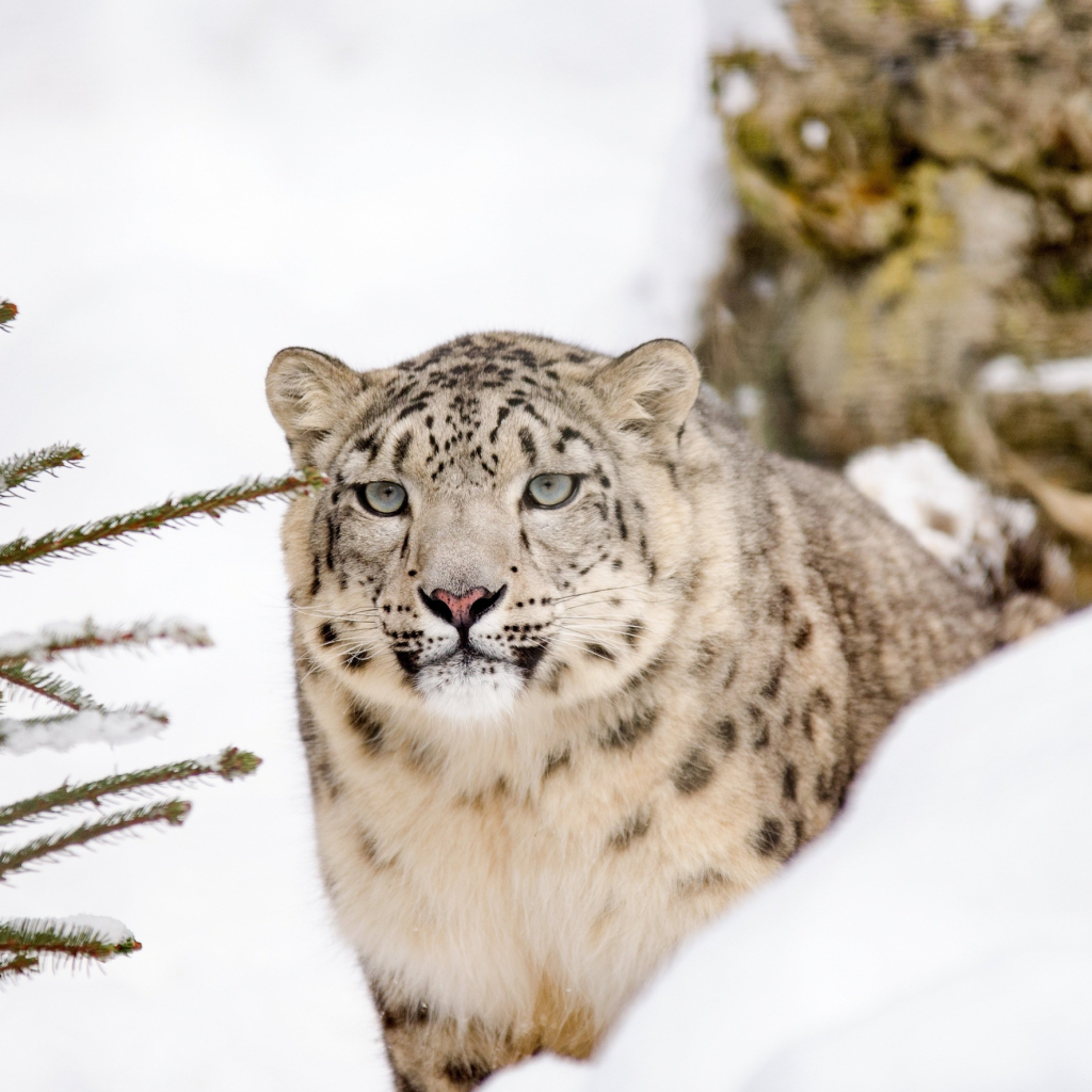 JARNÍ PŘÍMĚSTSKÝ TÁBOR